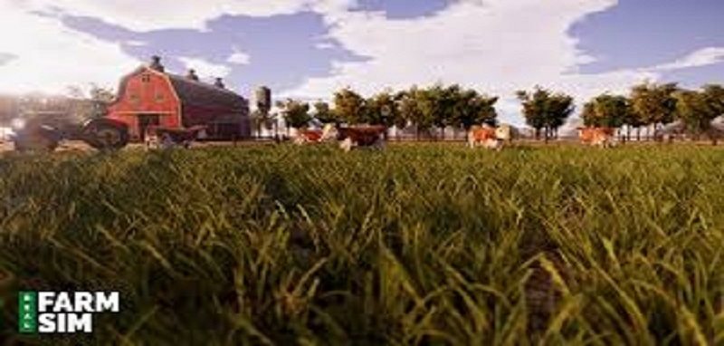 Real Farm