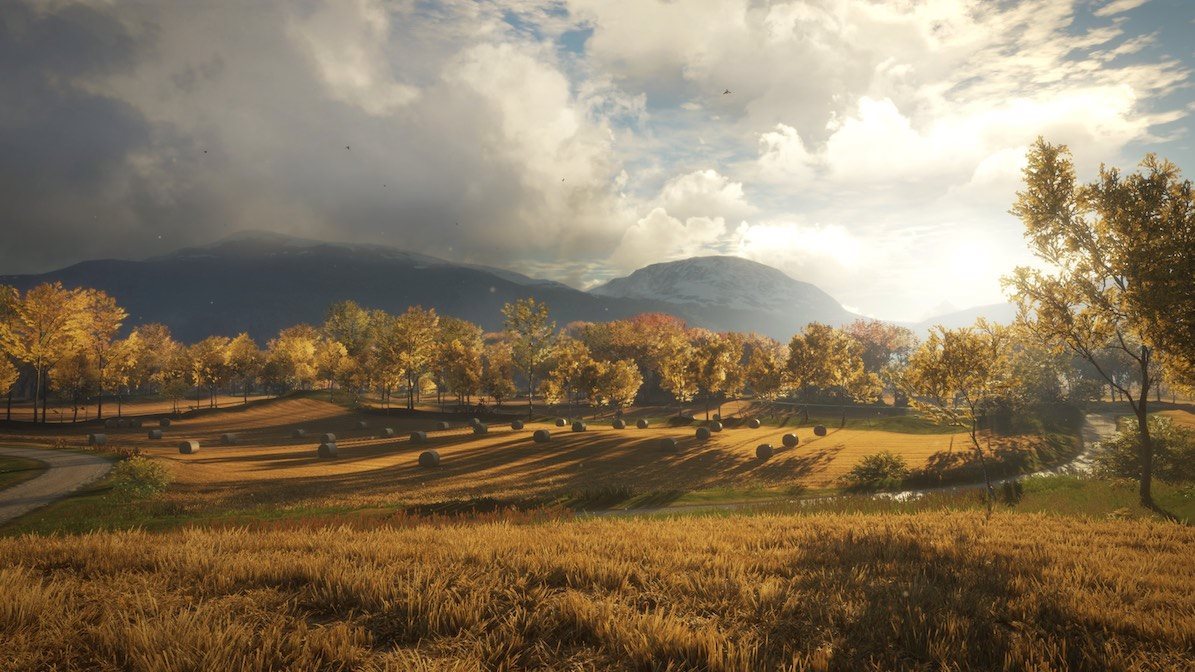 The Hunter - Call Of The Wild - 2019 Edition 