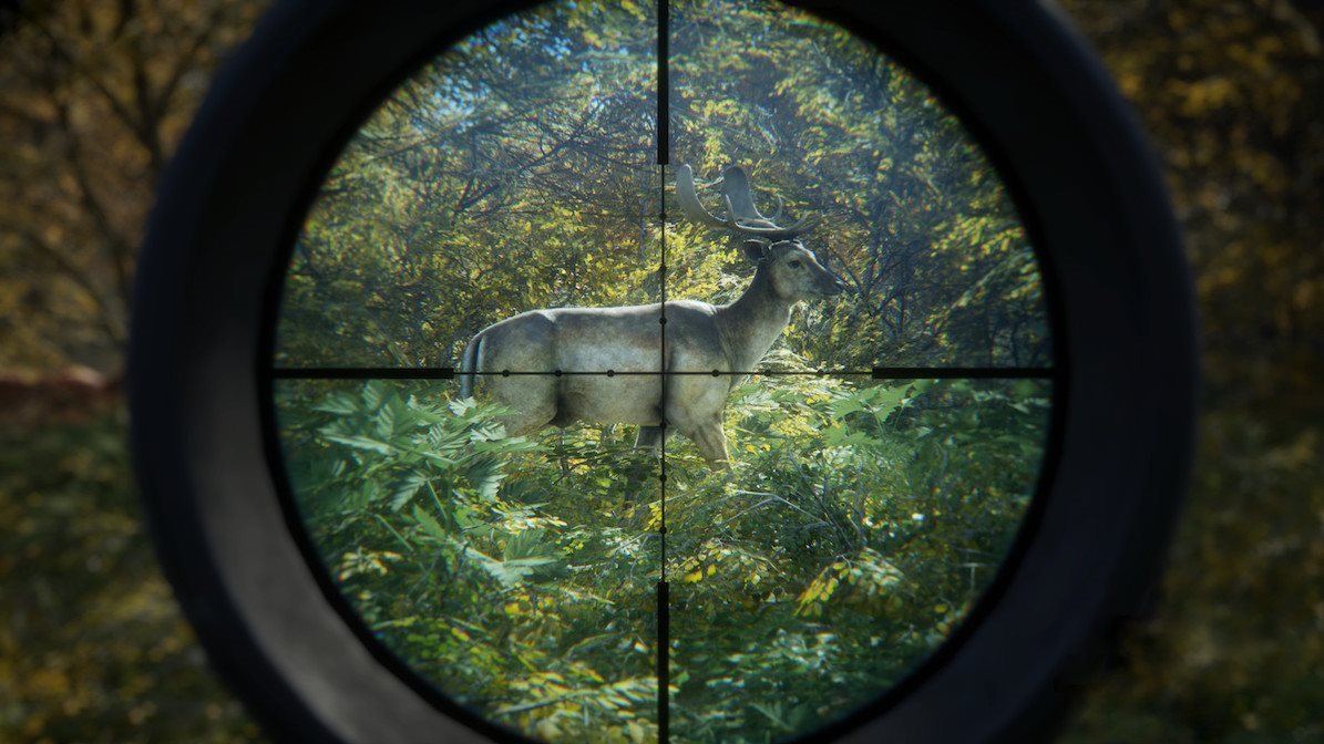 The Hunter - Call Of The Wild - 2019 Edition 