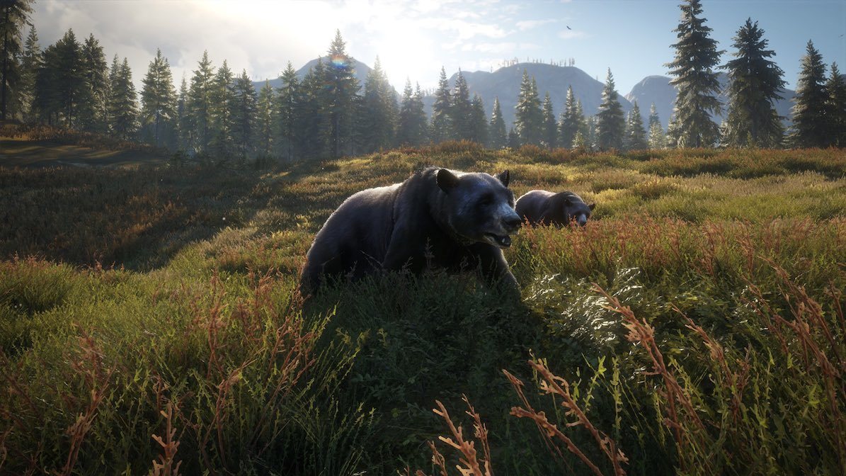 The Hunter - Call Of The Wild - 2019 Edition 