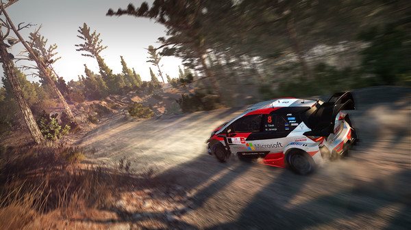 WRC 8 The Official Game Collectors Edition