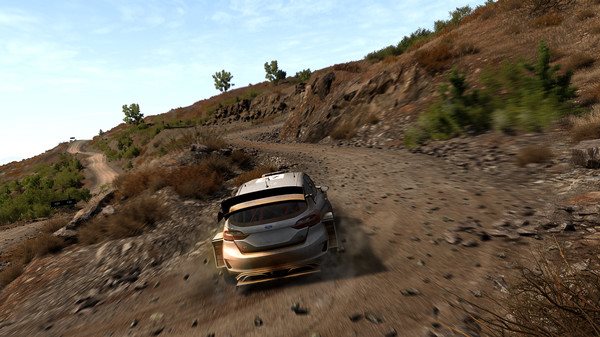 WRC 8 The Official Game Collectors Edition