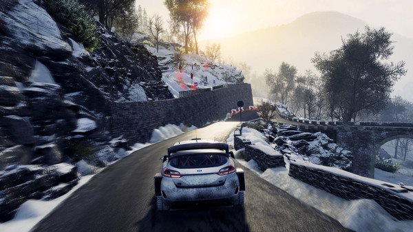 WRC 8 The Official Game Collectors Edition