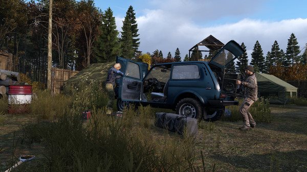 DayZ DayZ