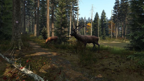 DayZ DayZ
