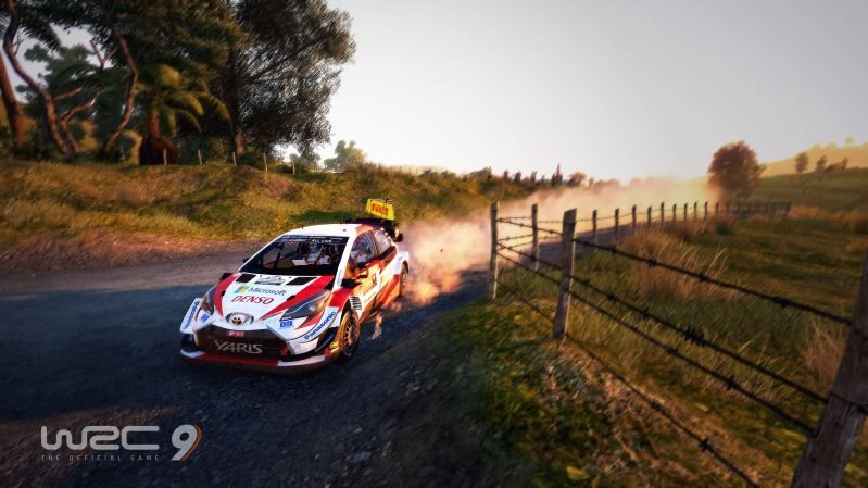 WRC 9 The Official Game