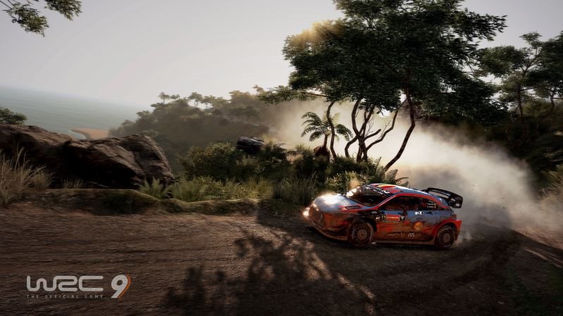 WRC 9 The Official Game