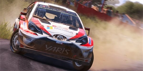 WRC 9 The Official Game