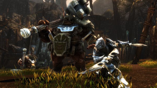 Kingdoms of Amalur: Re-Reckoning 