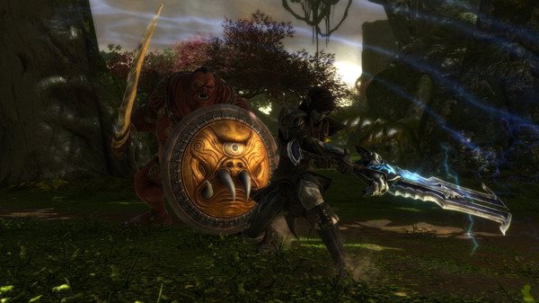 Kingdoms of Amalur: Re-Reckoning Kingdoms of Amalur: Re-Reckoning