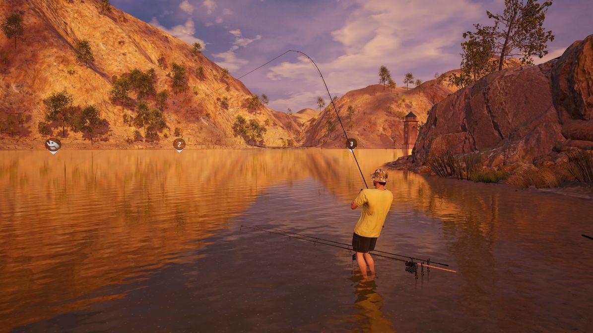 The Catch: Carp and Coarse - Collectors Edition