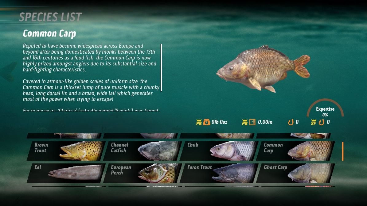 The Catch: Carp and Coarse - Collectors Edition