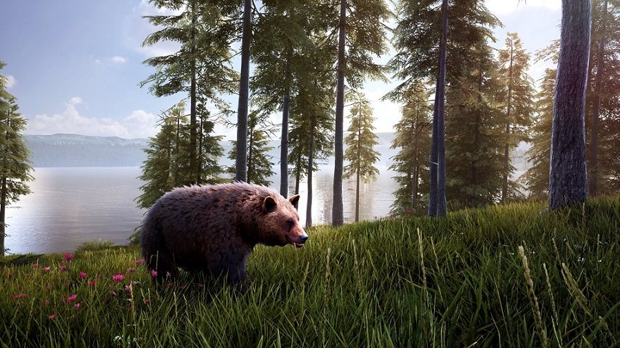 Hunting Simulator 2 Bear Hunter Pack PC