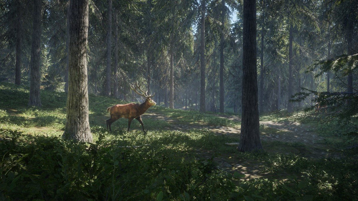 TheHunter: Call of the Wild TheHunter: Call of the Wild