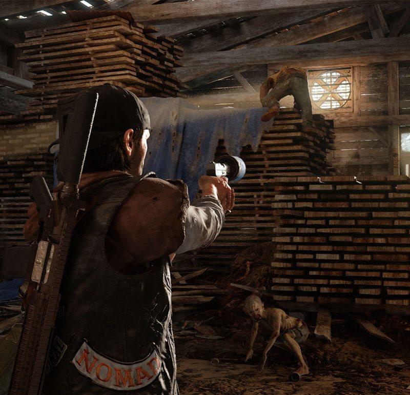 Days Gone PC