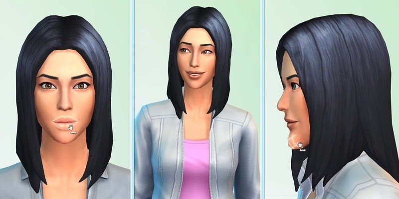 THE SIMS 4