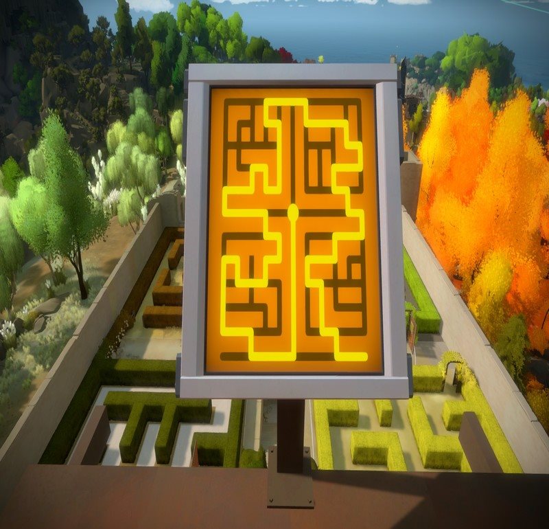 The Witness The Witness