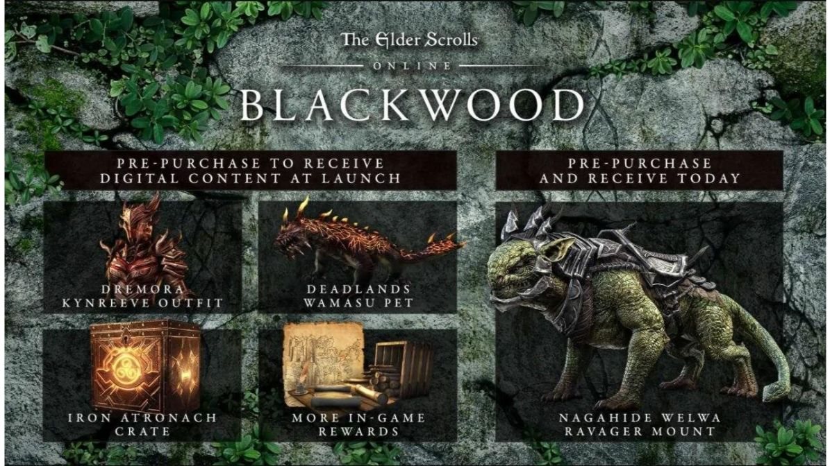 The Elder Scrolls Online Blackwood Upgrade
