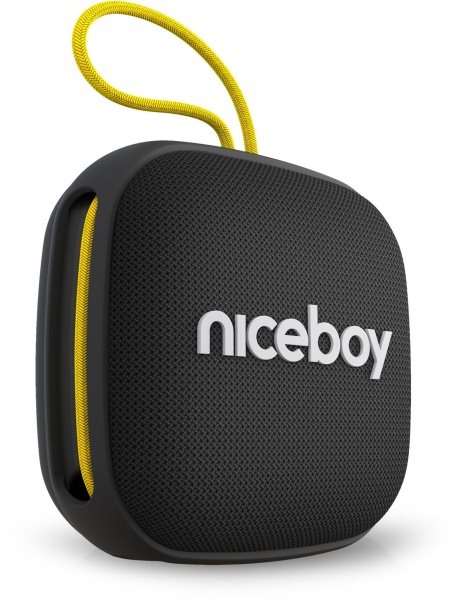 Niceboy RAZE Mini 4