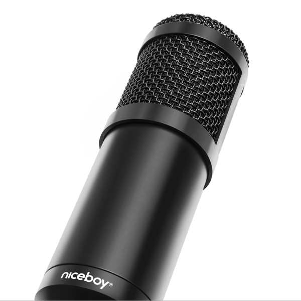 Niceboy VOICE Handle
