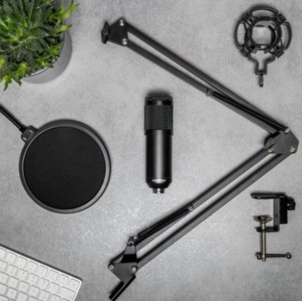 Mikrofon Niceboy VOICE Handle