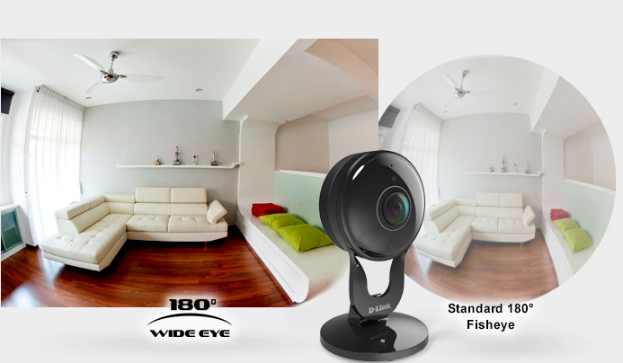 Great overview IP camera D-Link DCS-2530L
