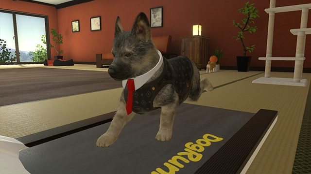 Little Friends: Dogs and Cats