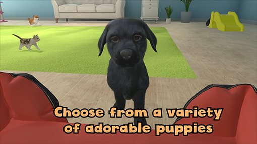 Little Friends: Dogs and Cats