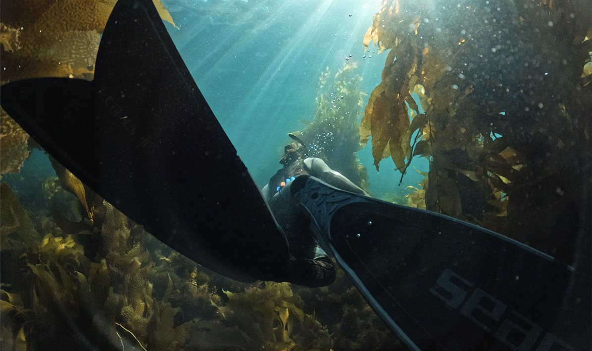 Outdoorová kamera GoPro HERO11 Black Mini