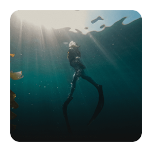 Kamera GoPro – potápanie
