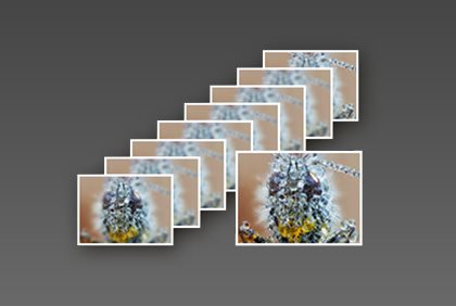 Focus bracketing