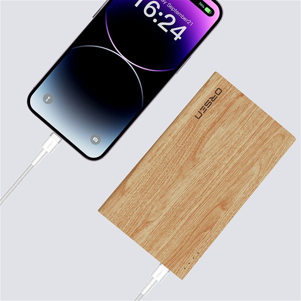 Powerbank Eloop E12_PD20W