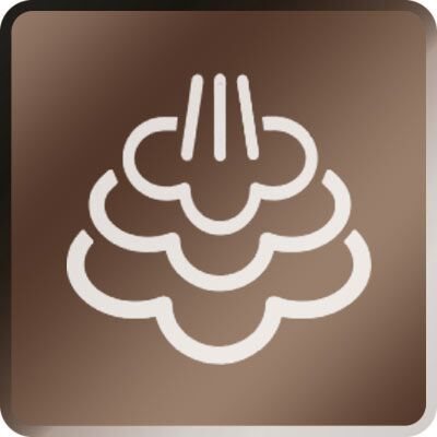 HygieSteam function