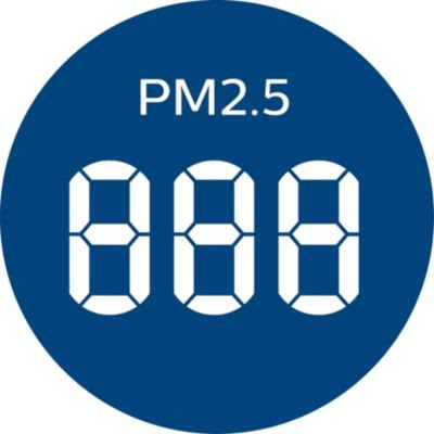 Numeric pointer
