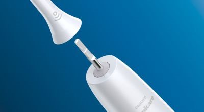 Set brush head