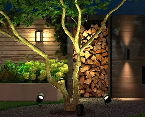 Philips Hue White and Color Ambiance Lily XL