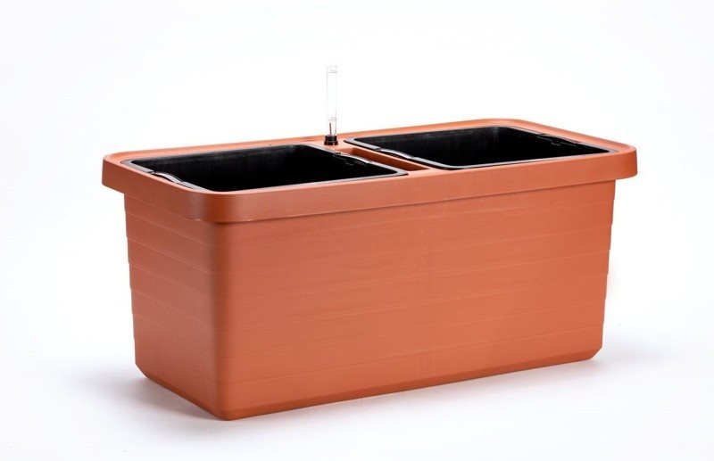 Plastia Berberis DUO
