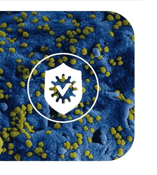 Cellularline Antimicrob pre Apple iPhone 11 Pro