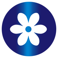 PERSIL 360° Color Gel