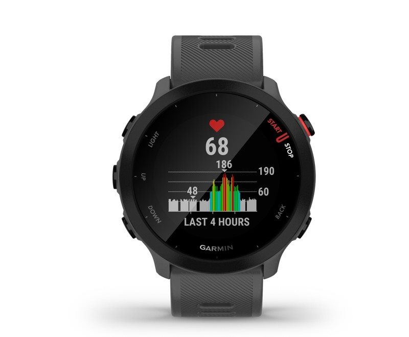 Garmin Forerunner 55 Monterra Grey