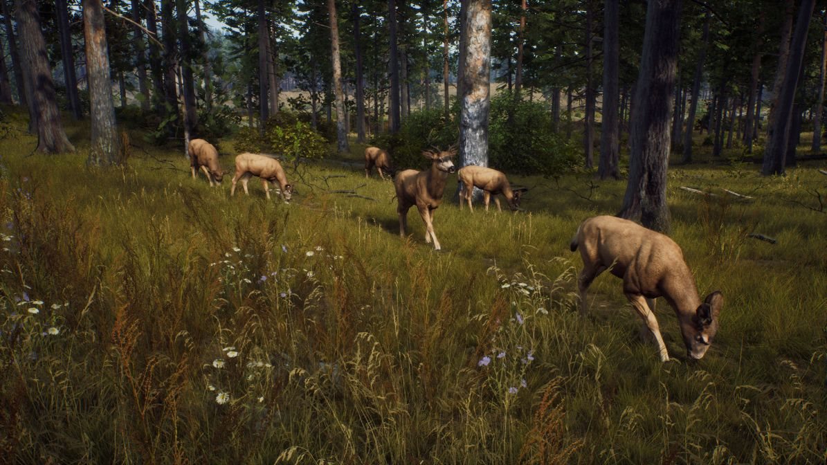 Way of the Hunter - PS5 Way of the Hunter - PS5