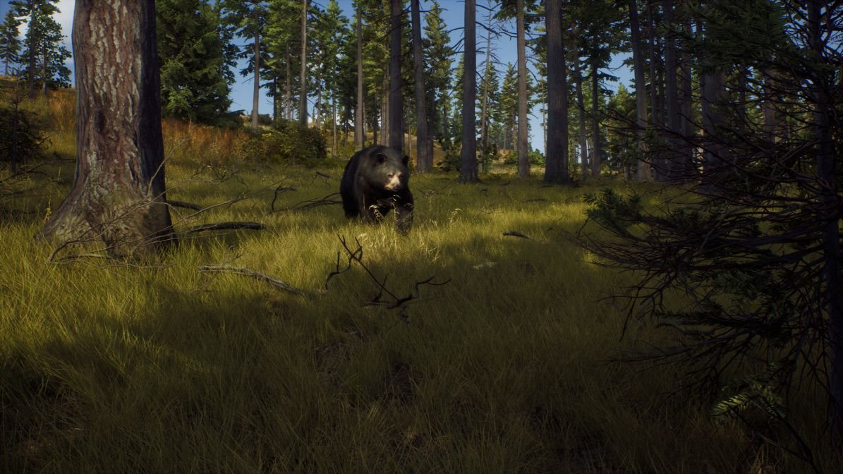 Way of the Hunter - PS5 Way of the Hunter - PS5