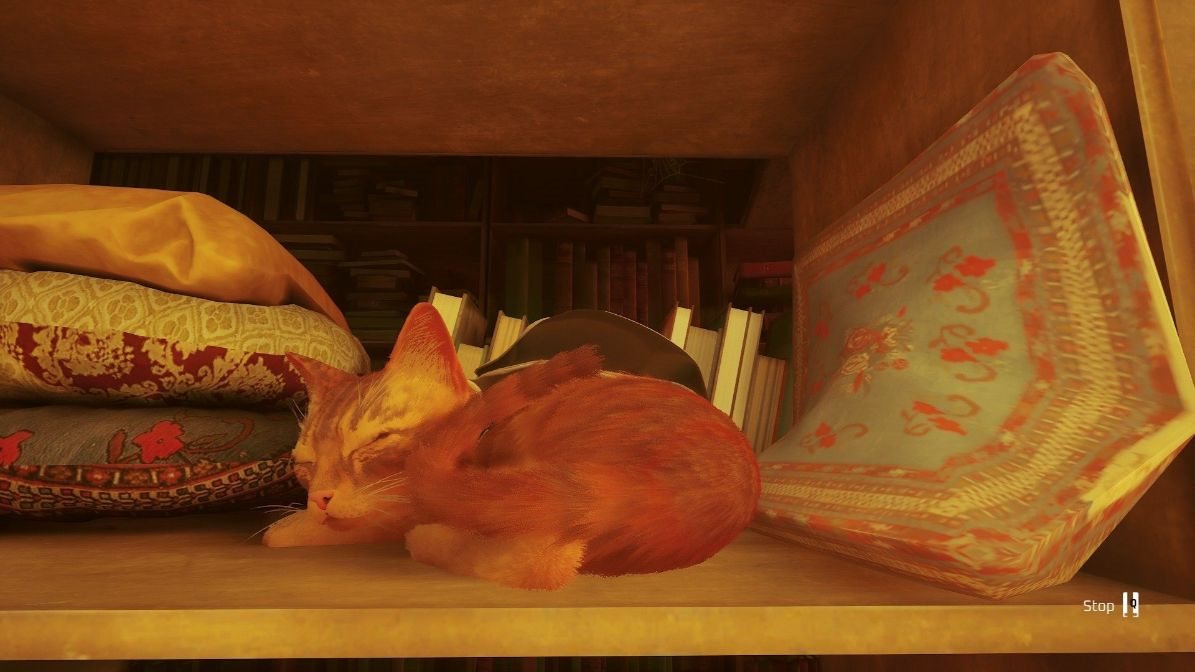  Stray - PS5