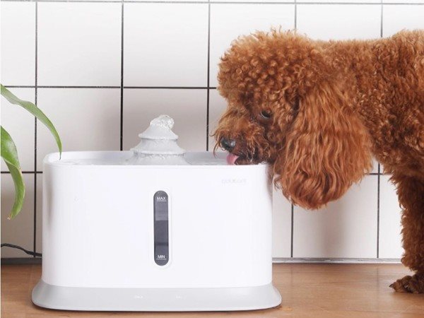 Petwant W1 Smart Fountain