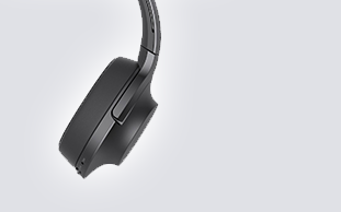 Sony MDR-100ABN