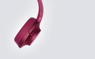 Sony MDR-100ABN