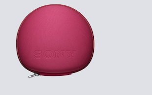 Sony MDR-100ABN