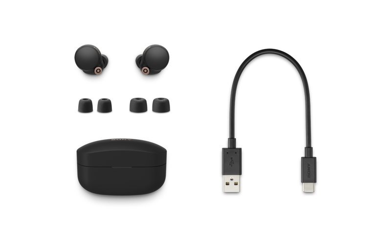 Sony True Wireless WF-1000XM4
