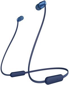  Sony WI-C310