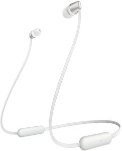  Sony WI-C310